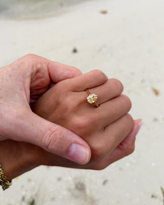 Our Stories | Alex & Iz