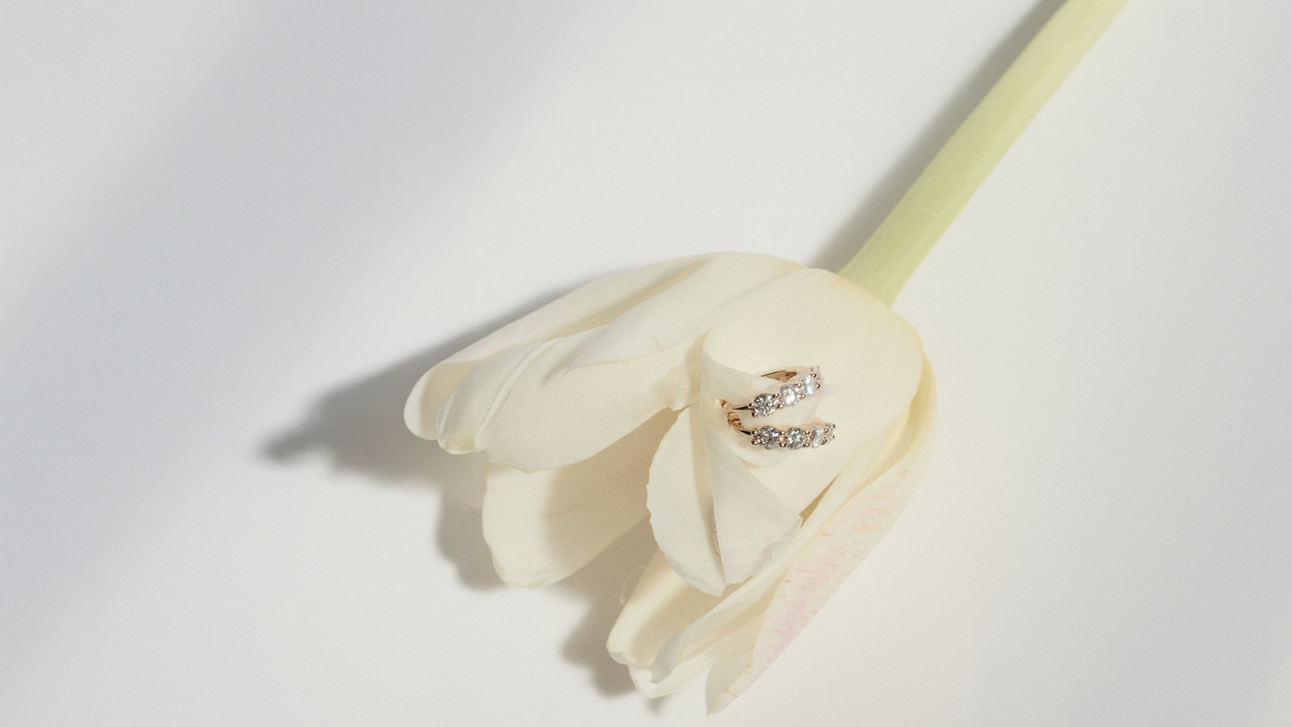 Two earrings on a white tulip against a light gray background