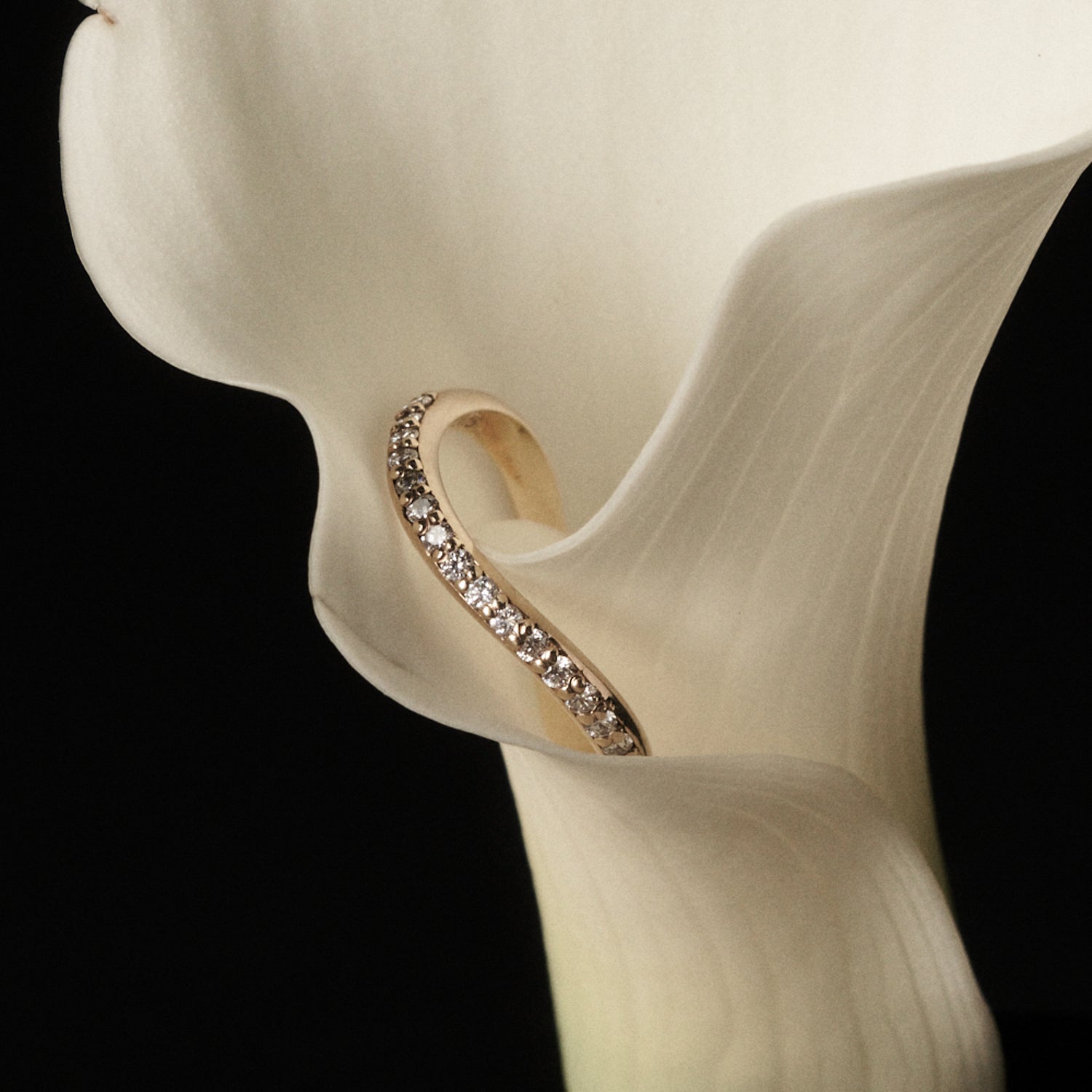 Gold awa ring with clear stones on a white petal against a black background